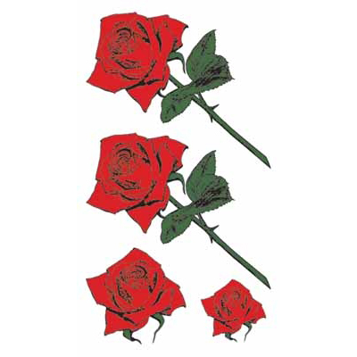 �^�g�D�[�V�[���@�K�N���