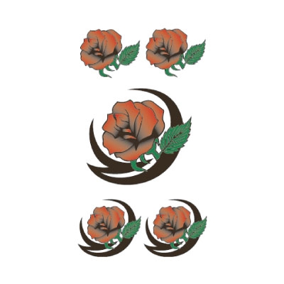 �^�g�D�[�V�[���@�K�N�E�g���C�o��