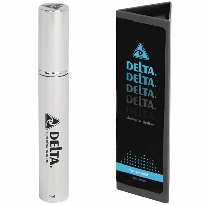 �f���^�E�t�F�������@�i�閧�̍���j