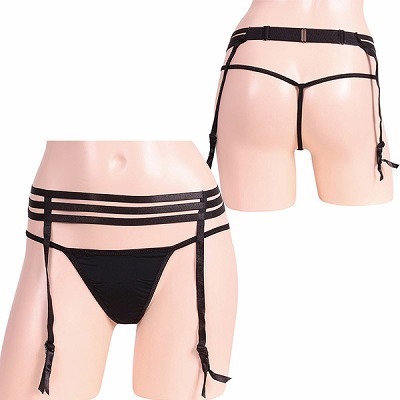 �􉽊w���C���K�[�^�[���s�o�b�N�Z�b�g