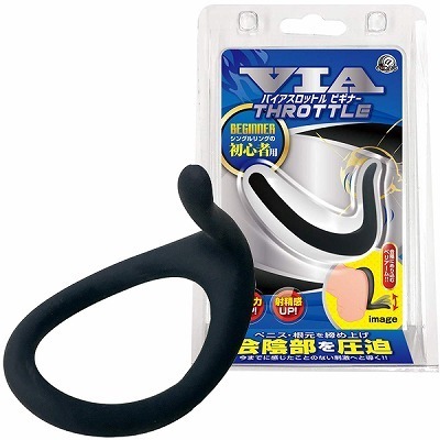 �o�C�A�X���b�g�������O�@�i�r�M�i�[�j