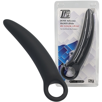 �{�X�@�V���R���z�[���f�B���h�@�i�w�k�j