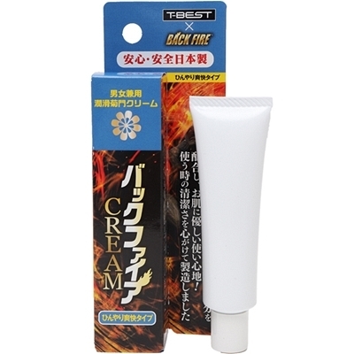 �o�b�N�t�@�C�A�[�@�b�q�d�`�l�@�i�Ђ���u���^�C�v�j�@�Q�O��