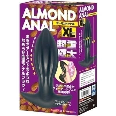 �A�[�����h�A�i���@�i�w�k�j